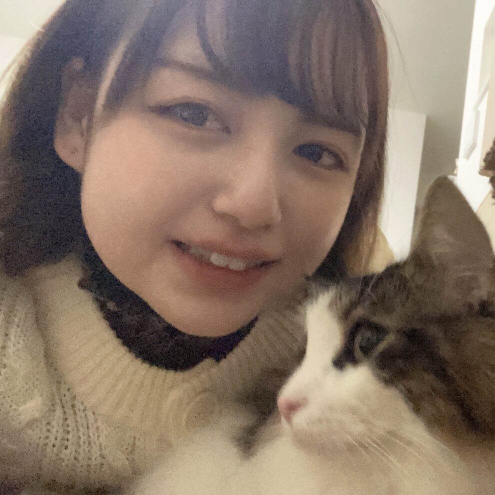 ナウフレッシュ(キトン)の口コミ評判・解析レビュー｜高タンパクで子猫向けキャットフード キャットフードの達人